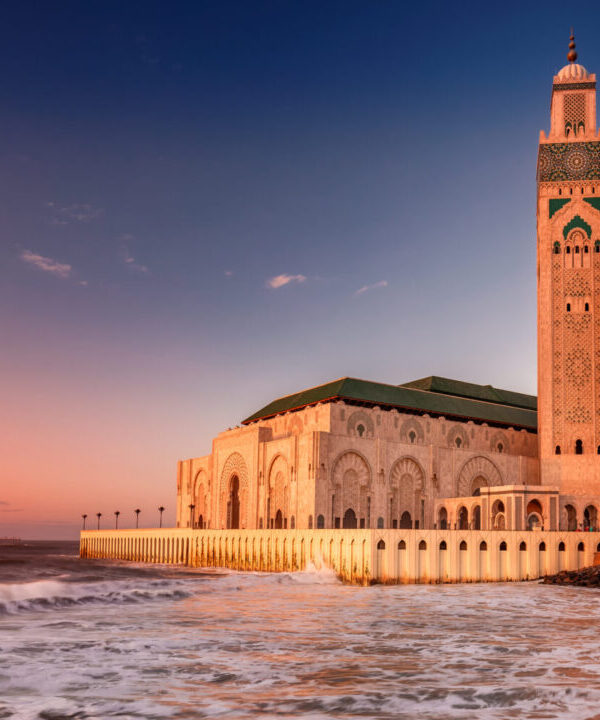 12 days casablanca