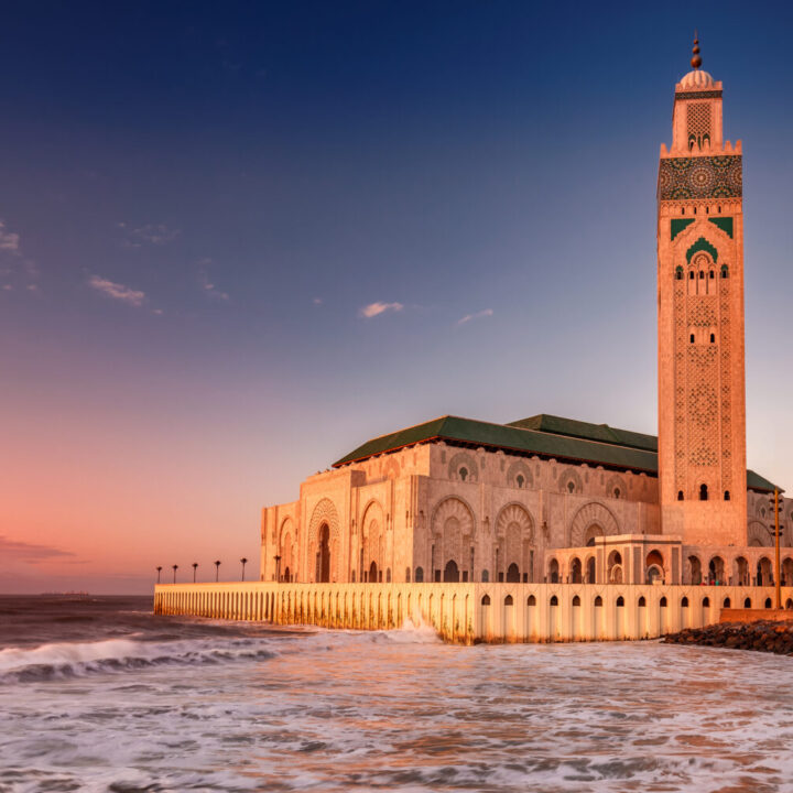 12 days casablanca