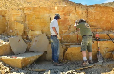 636022852277164602-Wyo-Fossil-Butte-Knightia-eocaena-Credit-authors-2-