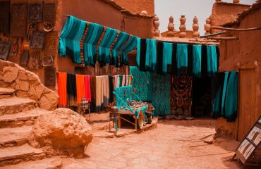 frida-aguilar-estrada-LhVJaRPweJc-unsplash