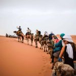 giuseppe-gurrieri-bcWFbTYge7I-unsplash - Copy