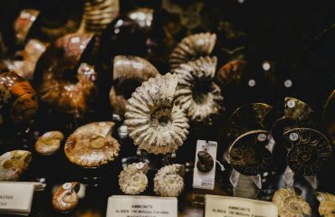 nastia-petruk-B3fTjiuoEPE-unsplash