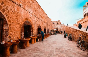 rigel-ibisQEDxODo-unsplash